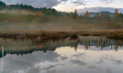 Fog On The Beaver Pond