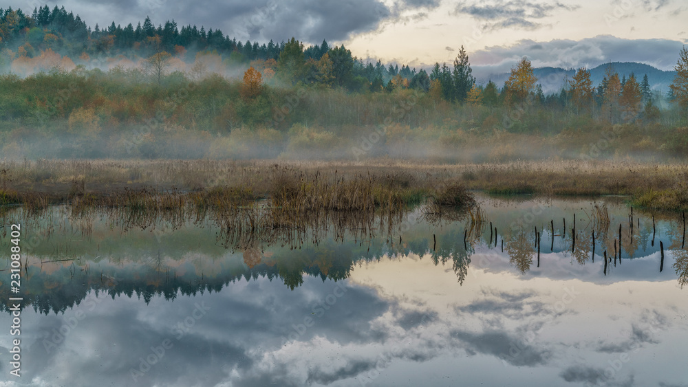 Fog On The Beaver Pond Fog On The Beaver Pond