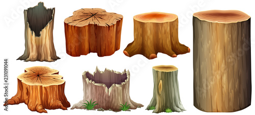 Different type of tree stump photo
