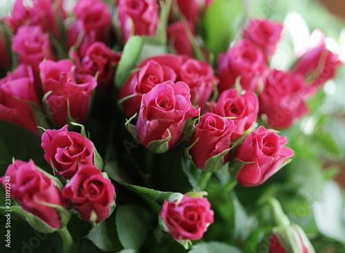 bouquet of pink roses