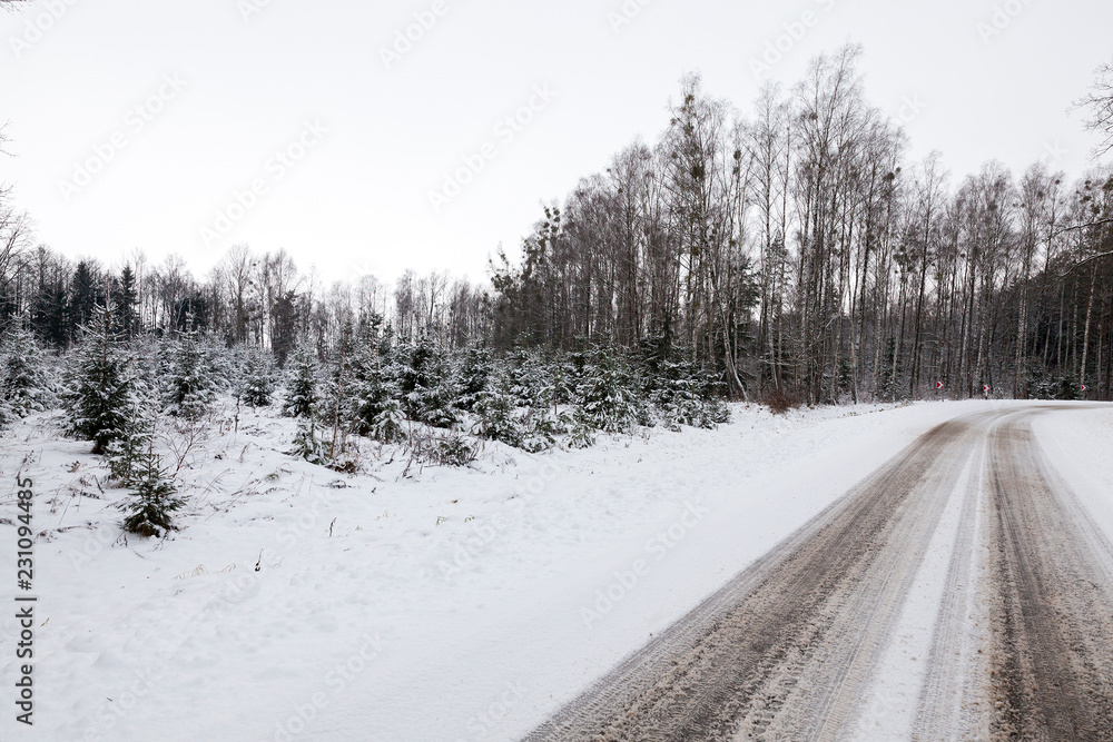 Obraz premium Road under the snow