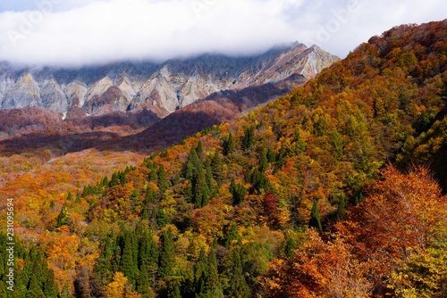 奥大山の紅葉