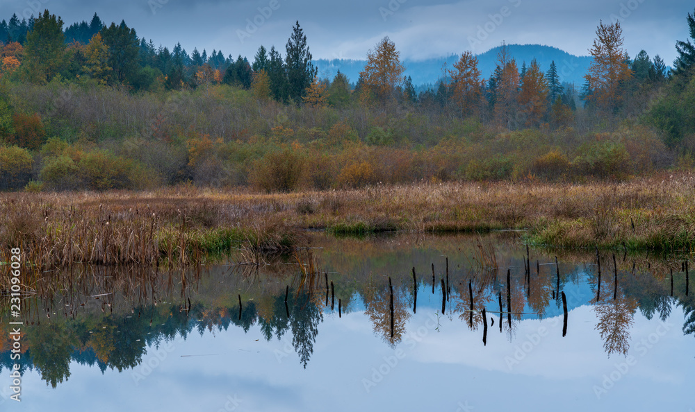 Autumn Colors Washington State