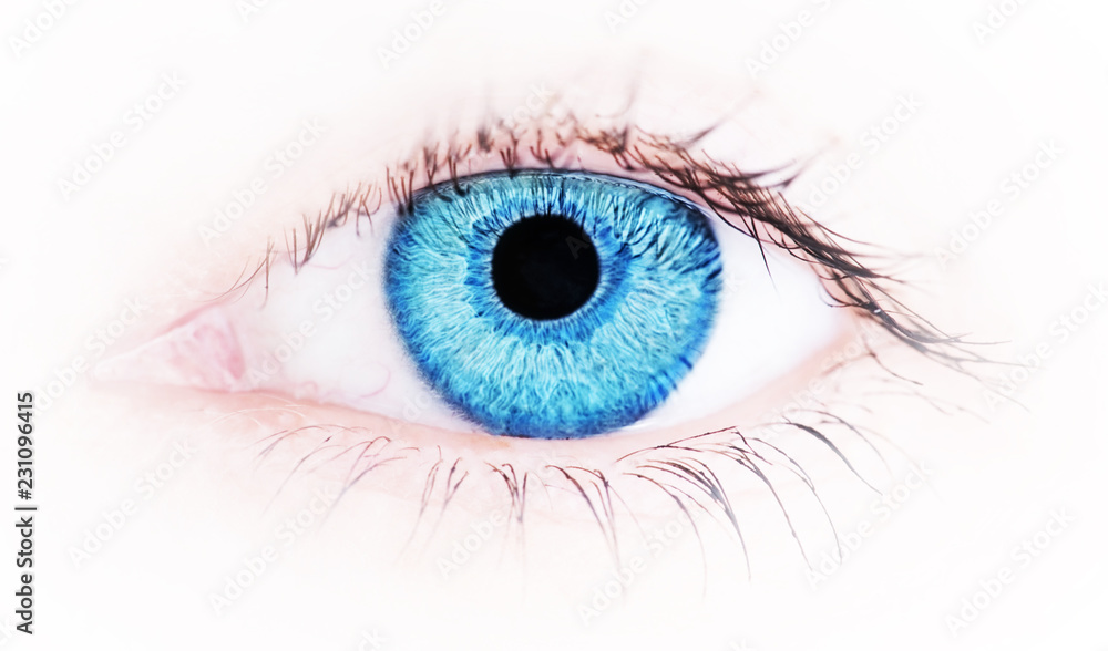 Closeup of the human eye , macro shot . Closeup of the human eye , macro shot .