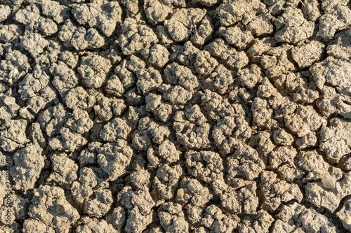 Close Up of Parched Earth