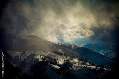 Beautiful fir tree and spruce winter landscape background © bdavid32