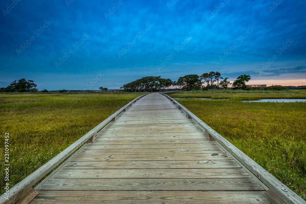 Low Angle of Wooden Boardwalk Through Marsh
