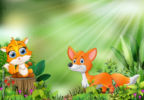 Cartoon of the nature scene with two fox
