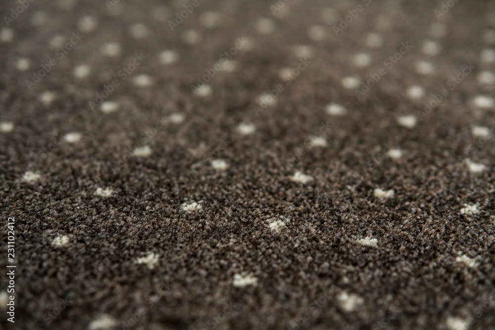 Brown carpet with a white dots texture. Indoor carpeting shoot in daylight. Brown carpet with a white dots texture. Indoor carpeting shoot in daylight.