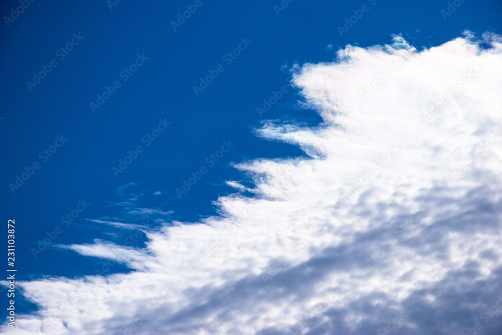 Fototapeta premium 秋空