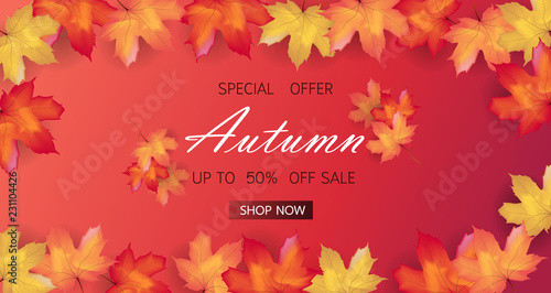  Autumn sale background layout decorate with maple leaves of autumn for shopping sale or promo poster and frame leaflet or web banner. Thanksgiving Background Vector illustration template.