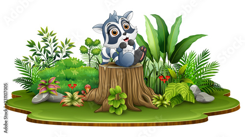 Cartoon happy raccoon sitting on tree stump with green plant