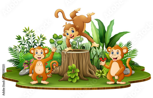 Happy monkey group with green plants