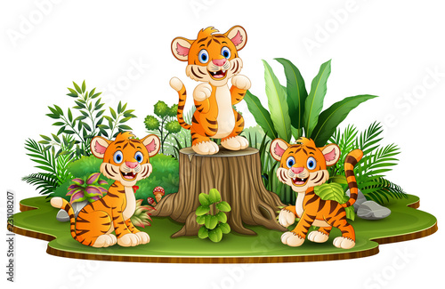 Fototapeta Naklejka Na Ścianę i Meble -  Happy tiger group with green plants