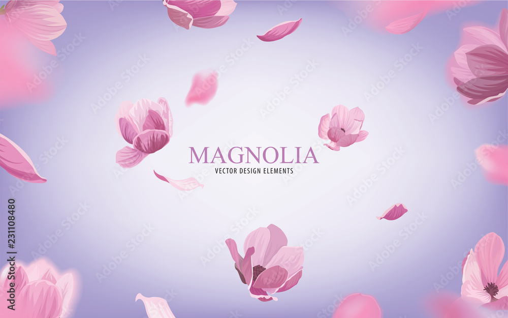 Fototapeta premium Magnolia flowers on purple background. Vector set of blooming floral for holiday greetings, newsletter, brochures, postcards, banners, wedding invitations and greeting card design.