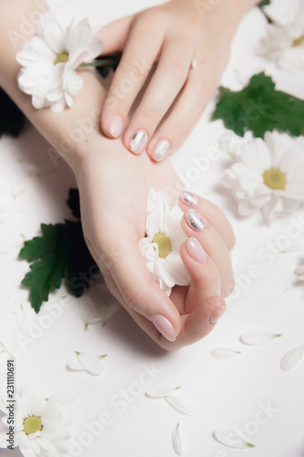 Hands of woman with nude manicure nails and white chamomile chrysanthemums on light