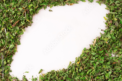 frame of green mint  leaves on white background