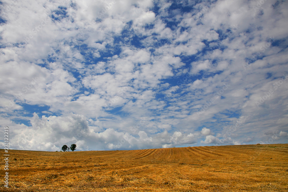 Fototapeta premium 丘に広がる雲