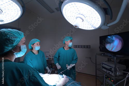 Fototapeta Naklejka Na Ścianę i Meble -  group of veterinarian surgery in operation room for laparoscopic