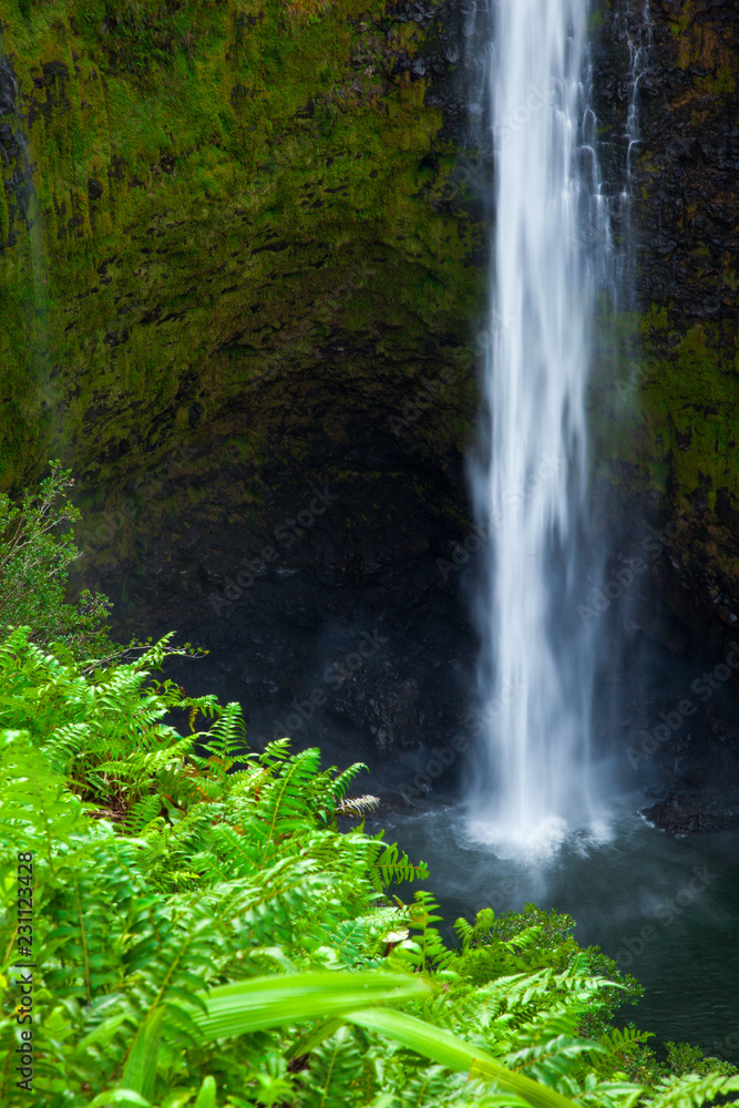 Obraz premium Wodospad na Hawajach