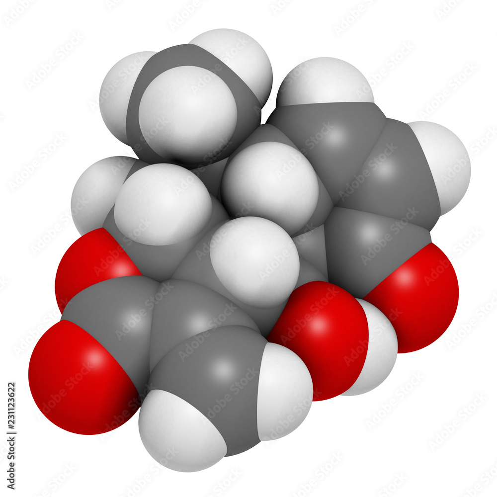 Helenalin sesquiterpene lactone molecule. Toxin found in Arnica montana. 3D rendering. Atoms are represented as spheres with conventional color coding: hydrogen (white), carbon (grey), oxygen (red). Helenalin sesquiterpene lactone molecule. Toxin found in Arnica montana. 3D rendering. Atoms are represented as spheres with conventional color coding: hydrogen (white), carbon (grey), oxygen (red).