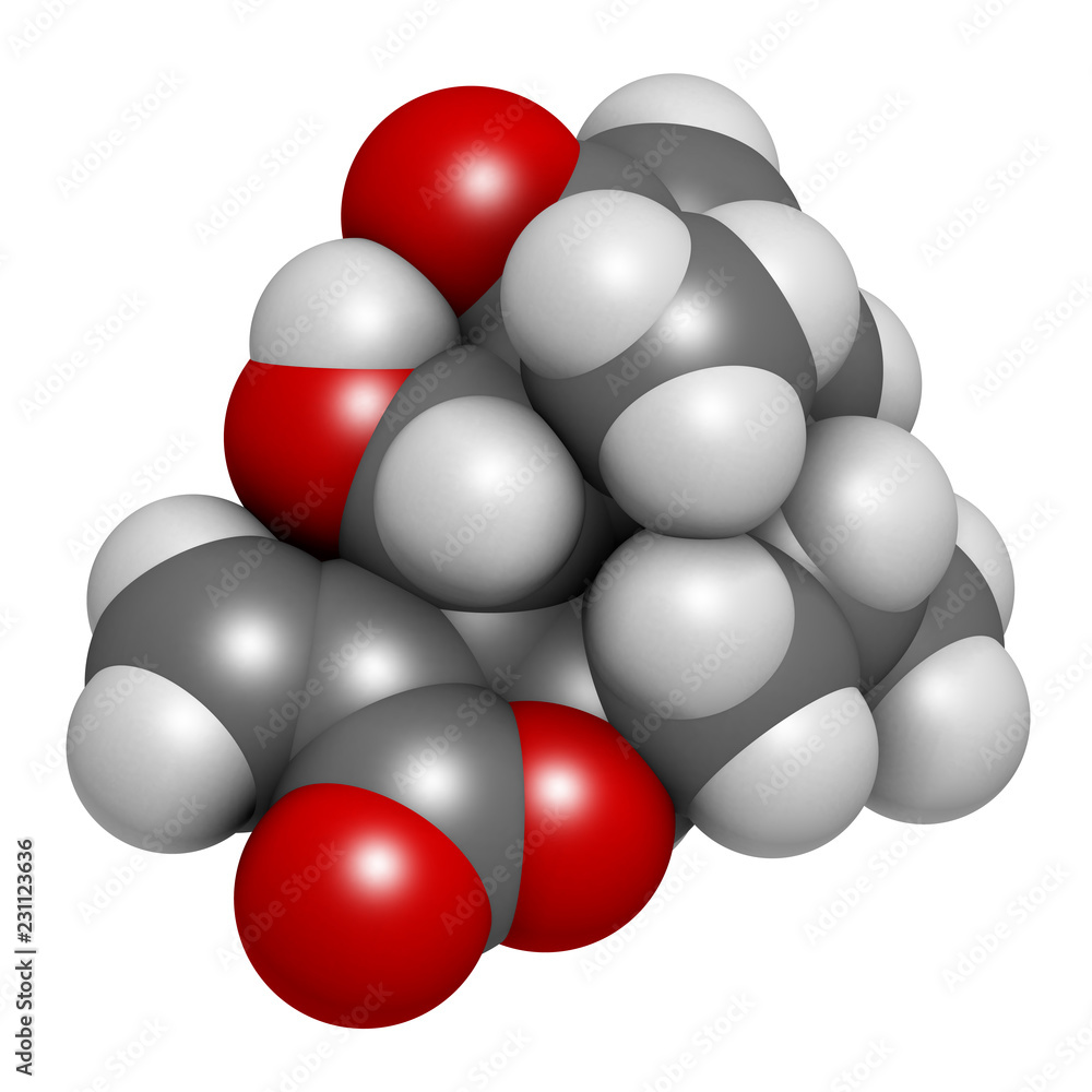 Helenalin sesquiterpene lactone molecule. Toxin found in Arnica montana. 3D rendering. Atoms are represented as spheres with conventional color coding: hydrogen (white), carbon (grey), oxygen (red). Helenalin sesquiterpene lactone molecule. Toxin found in Arnica montana. 3D rendering. Atoms are represented as spheres with conventional color coding: hydrogen (white), carbon (grey), oxygen (red).