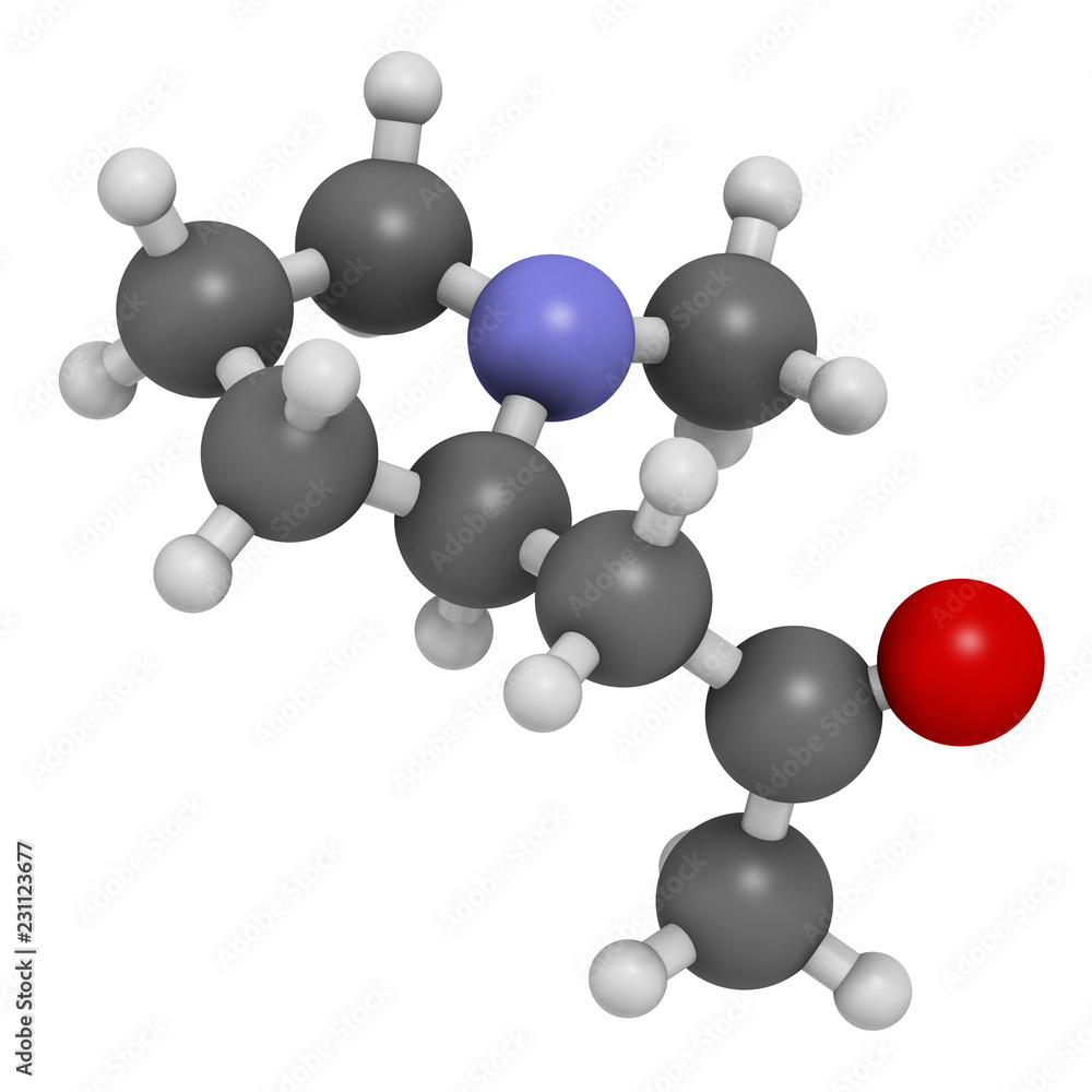 Hygrine coca alkaloid molecule. 3D rendering. Atoms are represented as spheres with conventional color coding: hydrogen (white), carbon (grey), oxygen (red), nitrogen (blue). Hygrine coca alkaloid molecule. 3D rendering. Atoms are represented as spheres with conventional color coding: hydrogen (white), carbon (grey), oxygen (red), nitrogen (blue).