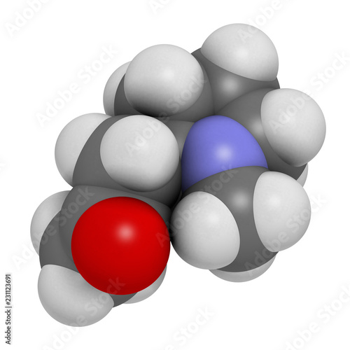 Hygrine coca alkaloid molecule. 3D rendering. Atoms are represented as spheres with conventional color coding: hydrogen (white), carbon (grey), oxygen (red), nitrogen (blue).