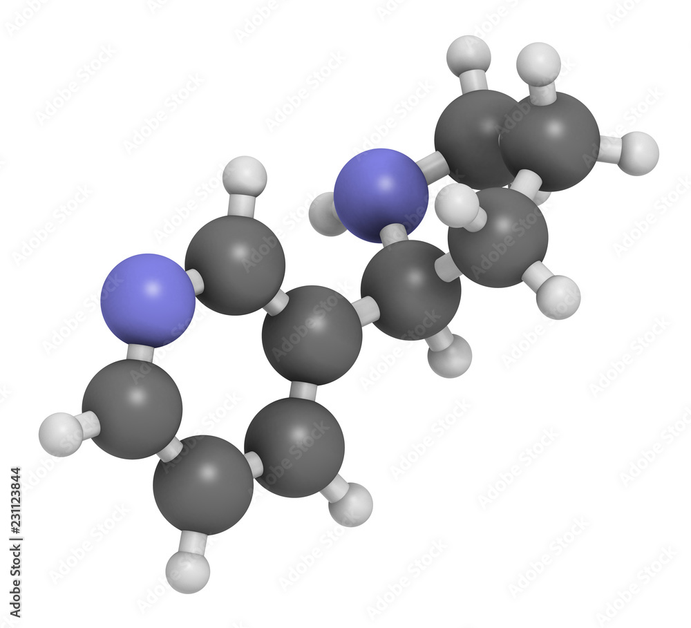 Nornicotine alkaloid molecule. Related to nicotine and also found in Nicotiana plants. 3D rendering. Atoms are represented as spheres with conventional color coding. Nornicotine alkaloid molecule. Related to nicotine and also found in Nicotiana plants. 3D rendering. Atoms are represented as spheres with conventional color coding.