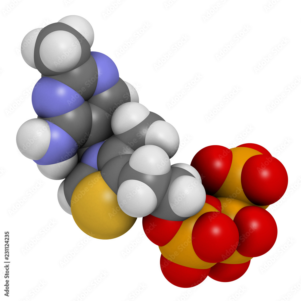Thiamine triphosphate molecule. 3D rendering. Atoms are represented as
