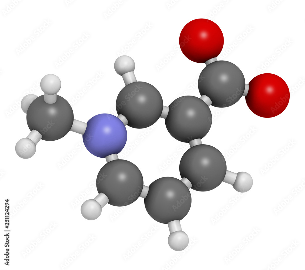 Trigonelline molecule. Metabolite of niacin (vitamin B3) but also found in a number of plants, including fenugreek. 3D rendering. Atoms are represented as spheres with conventional color coding. Trigonelline molecule. Metabolite of niacin (vitamin B3) but also found in a number of plants, including fenugreek. 3D rendering. Atoms are represented as spheres with conventional color coding.