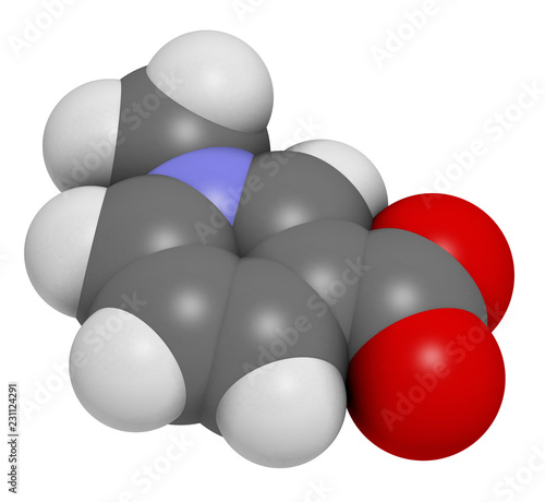 Trigonelline molecule. Metabolite of niacin (vitamin B3) but also found in a number of plants, including fenugreek. 3D rendering. Atoms are represented as spheres with conventional color coding. © molekuul.be