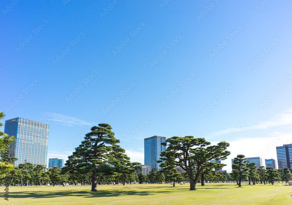 Fototapeta premium city view of Marunouchi Tokyo