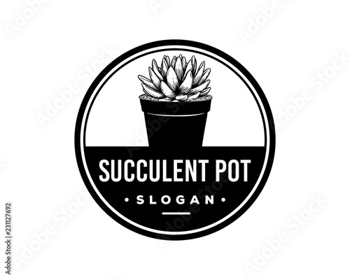 Hand Drawing Vector Succulent Pot Decorative Plants Sign Symbol Vintage Circle Logo Template Design Inspiration

