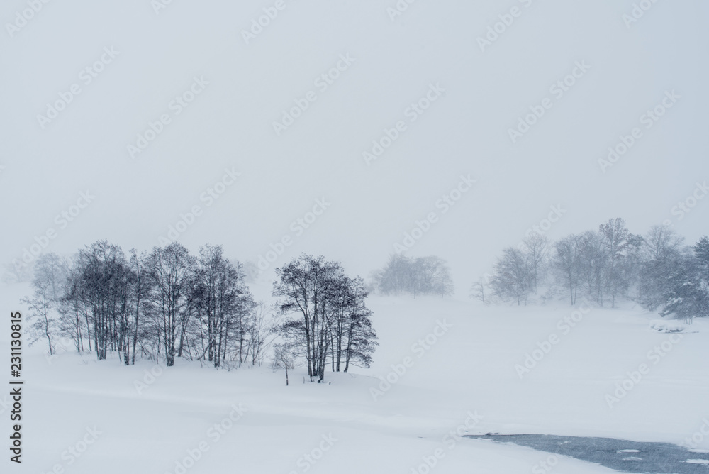 Obraz premium 冬の秋元湖