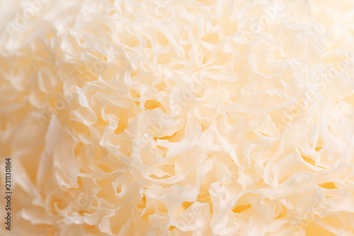 Dried snow fungus (Tremella fuciformis) on white background