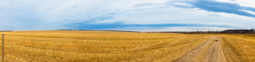 Beautiful panorama landscape of golden field and dark stormy sky. Autumn morning in countryside. 