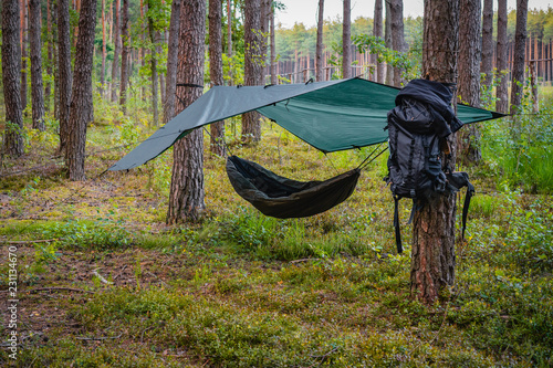 Tree hammock tent hanging out in the wild forest on a summer day