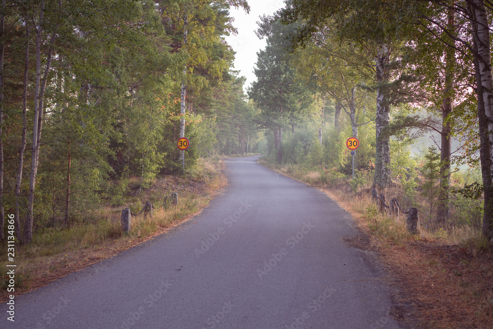 Lonely road with speed limit signs, twisting through trees, misty summer morning Lonely road with speed limit signs, twisting through trees, misty summer morning