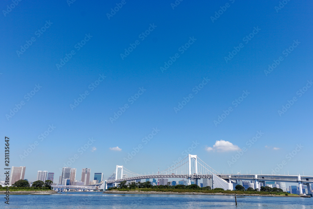 Tokyo skyline view :odaiba rainbow bridge 