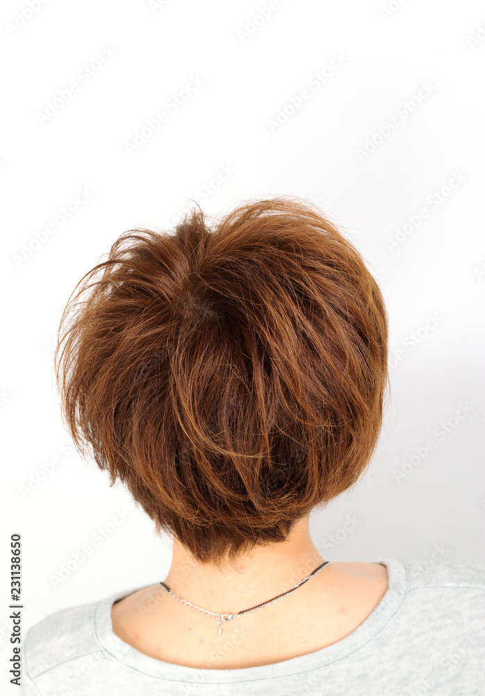 女性 後ろ姿 カットモデル ヘアスタイル 女性 後ろ姿 カットモデル ヘアスタイル