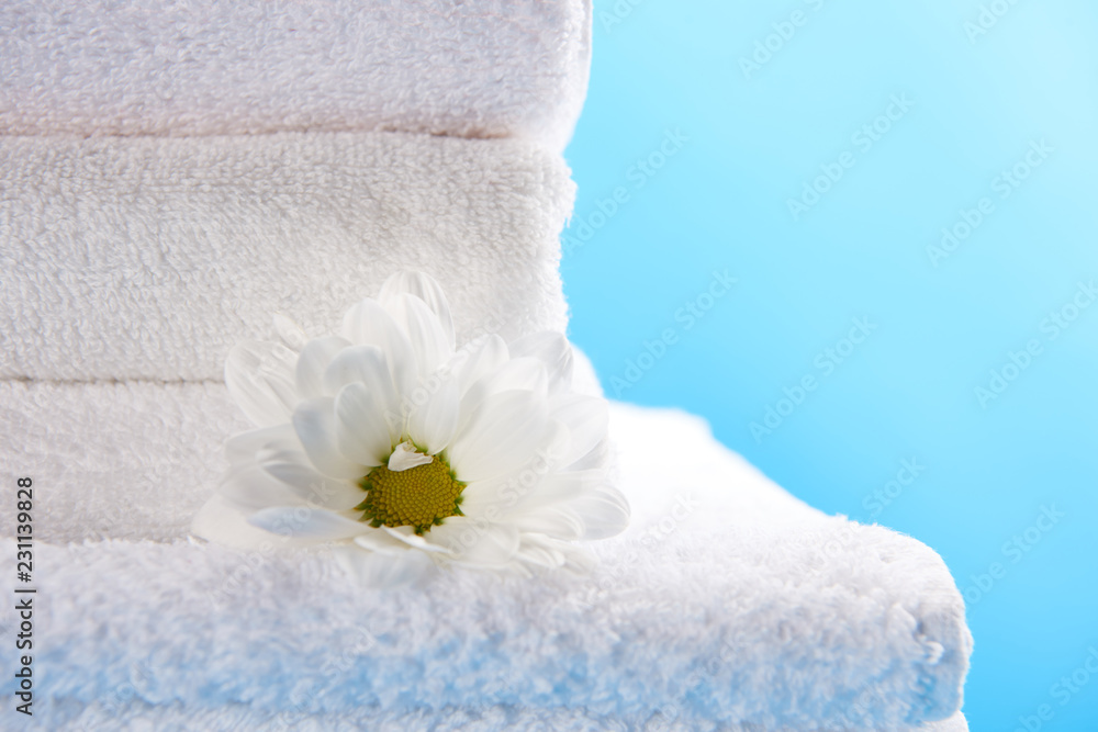 close-up view of beautiful chamomile flower on pile of clean white towels isolated on blue close-up view of beautiful chamomile flower on pile of clean white towels isolated on blue