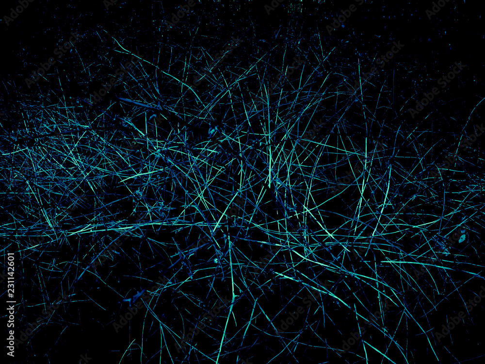 background abstraction of dry branches on a black background a bright color