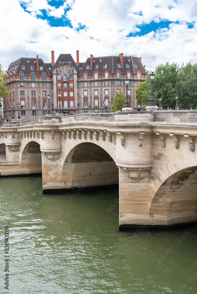 Paris, panorama of the Pont-Neuf, with typical buildings in background quai de Conti 
