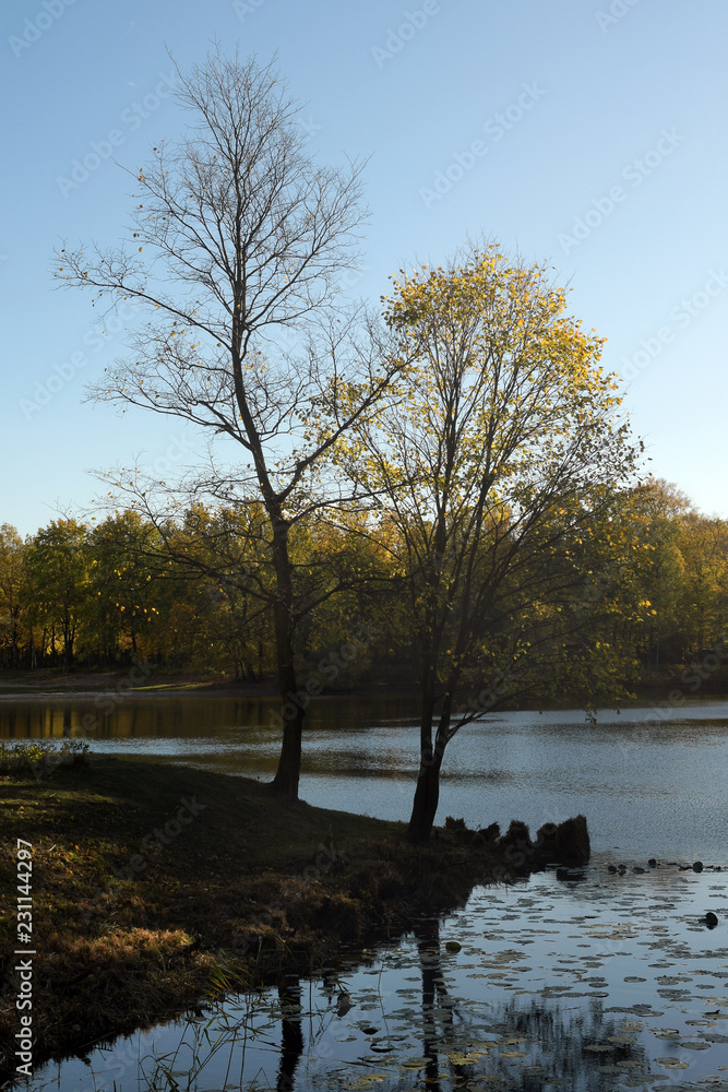 Fototapeta premium herbststimmung