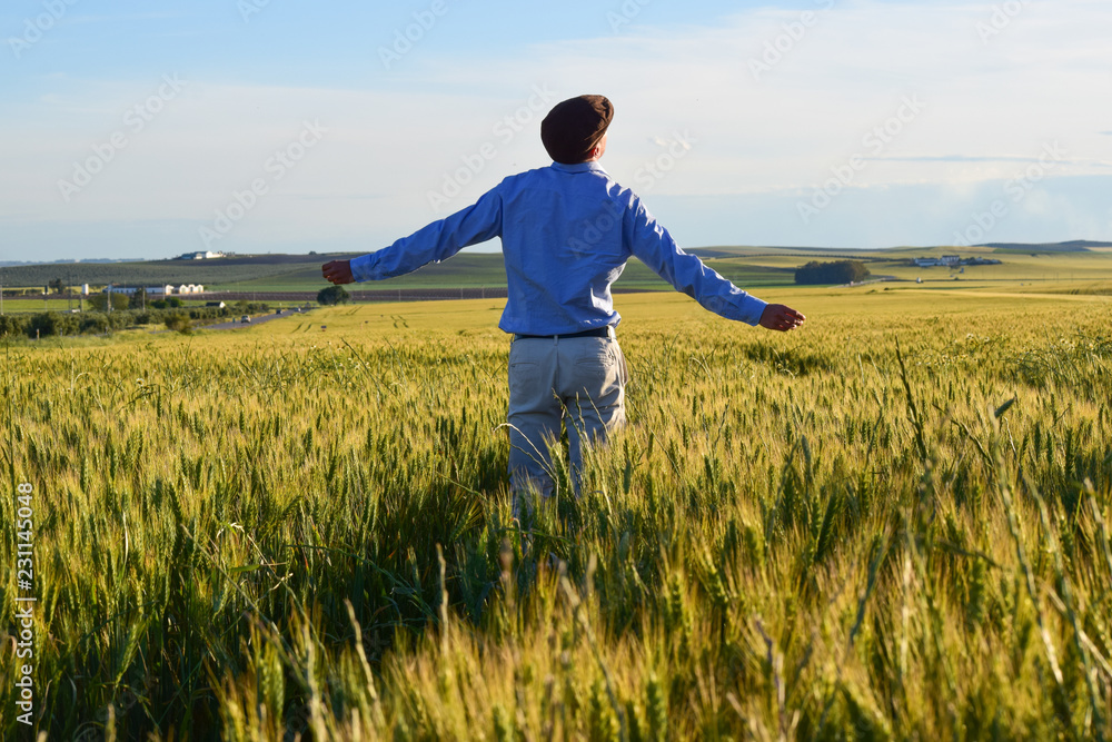 Chico joven contento de espaldas con los brazos abiertos en mitad de un campo de trigo Chico joven contento de espaldas con los brazos abiertos en mitad de un campo de trigo