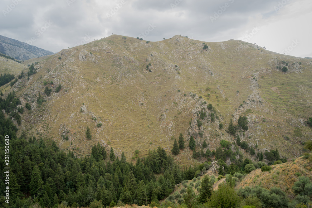 Hania, Crete - 09 26 2018: Mountain landscape Therisso. Panoramic view of fir trees on the hill and some trees on the crete
