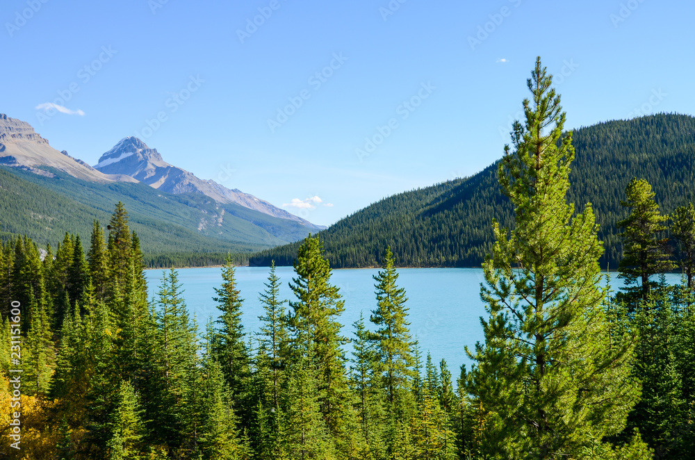 秋のカナディアンロッキー　黄葉の水鳥湖（ウォーターファウル・レイク）ー黄葉なし（バンフ国立公園　カナダ・アルバータ州）