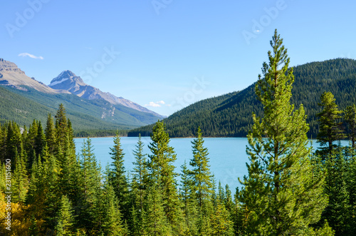 秋のカナディアンロッキー 黄葉の水鳥湖（ウォーターファウル・レイク）ー黄葉なし（バンフ国立公園 カナダ・アルバータ州）