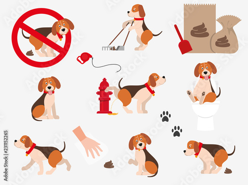 Cartoons, funny pets. Set of information dog icons. Isolated on white background.